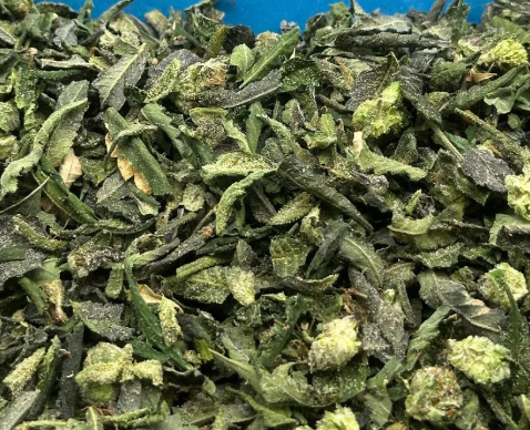 Lemon Cherry Zlushieee