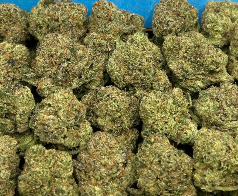 Orange Push Pop SM (Indica)