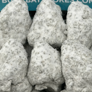 Gelato 45 Snowballs (Hybrid)