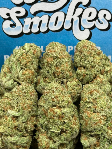 Papaya fruits ๐ ( hybrid )