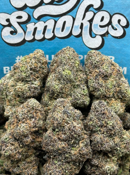 Mango Dream (hybrid)